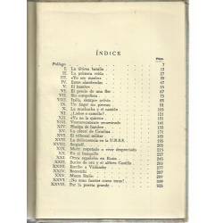 Embajador en el infierno (novela)
