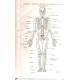 Atlas Manual de Anatomía