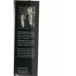 Más allá del hielo (novela) Más allá del hielo (novela)