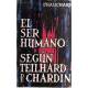 El ser humano según Teilhard de Chardin