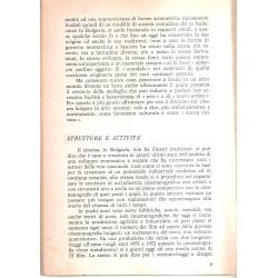 Il cinema bulgaro (en italiano) Il cinema bulgaro (en italiano)