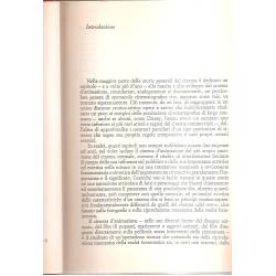 Storia del cinema d´animazione (en italiano) Storia del cinema d´animazione (en italiano)