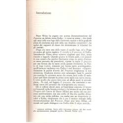 Il processo Peter Weiss (en italiano)