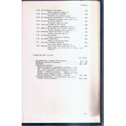 Insectos reptiles aves Insectos reptiles aves