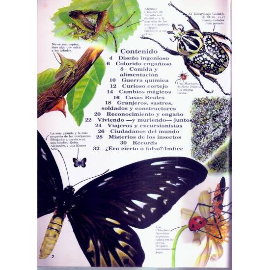 Misterios y maravillas de los insectos