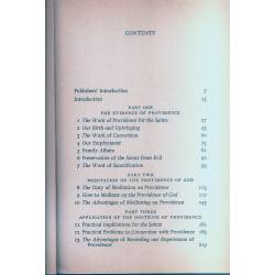 The mystery of providence The mystery of providence