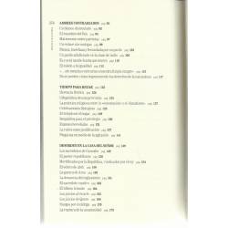 Más allá de la guerra