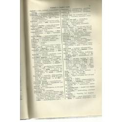Viertalic Technisch Woordenboek (Diccionario técnico inglés-neerlandés) Viertalic Technisch Woordenboek (Diccionario técnico inglés-neerlandés)