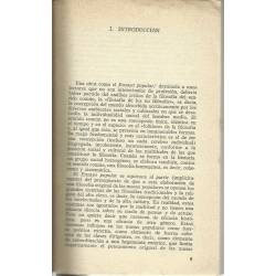 La política y el Estado moderno