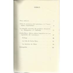 Una caricatura del marxismo