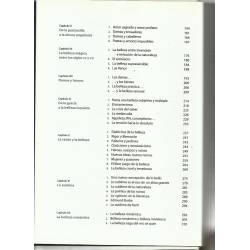 Historia de la belleza Historia de la belleza