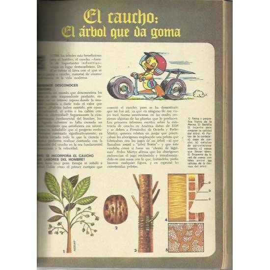 Lo mejor del Libro Gordo de Petete