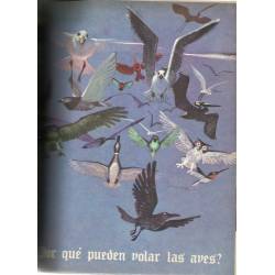 Lo mejor del Libro Gordo de Petete Lo mejor del Libro Gordo de Petete