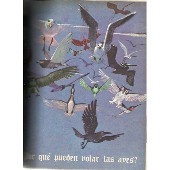 Lo mejor del Libro Gordo de Petete