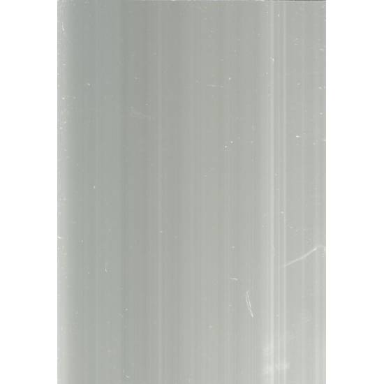 Los pájaros de Bangkok