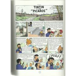 Las aventuras de Tintin Tintin y los pícaros