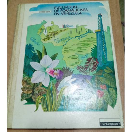 Evaluación de Formaciones en Venezuela