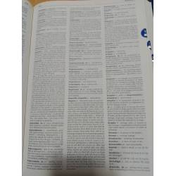Larousse Gran Diccionario Español Inglés