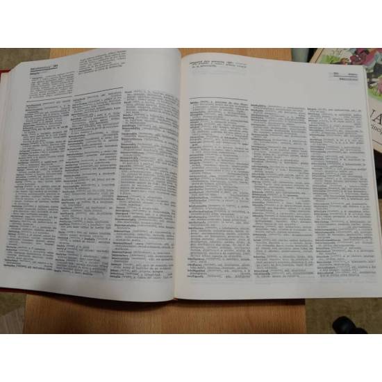 Inglés-Español Spanish-English Diccionario Dictionary