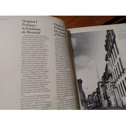 Le fleuve et la montagne Montreal The mountain and the river