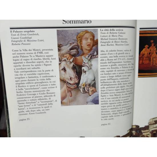 Revista FMR número 49