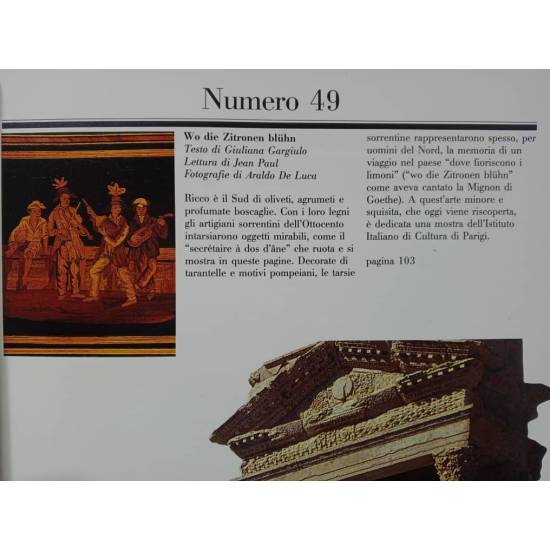 Revista FMR número 49