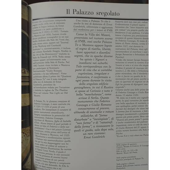 Revista FMR número 49