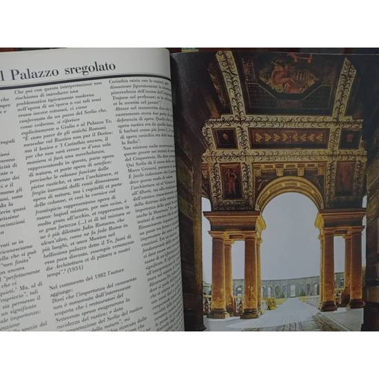 Revista FMR número 49