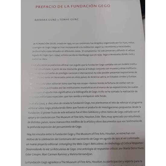 Gegos s Reticula La Reticularia de Gego