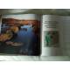 Transboundary conservation