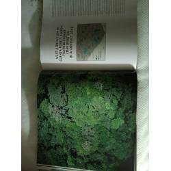 Transboundary conservation