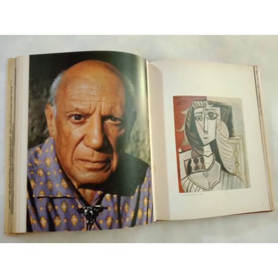 Adios Picasso