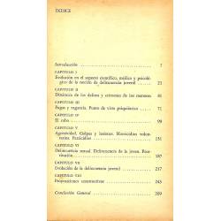 La delincuencia juvenil  Heuyer La delincuencia juvenil  Heuyer