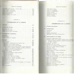 Otorrinolaringologia practica