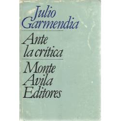Julio Garmendia ante la critica