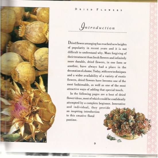 The little book of dried flowers