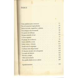 Mi pais inventado (novela) Mi pais inventado (novela)