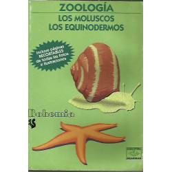 Zoologia Los moluscos Los equinodermos